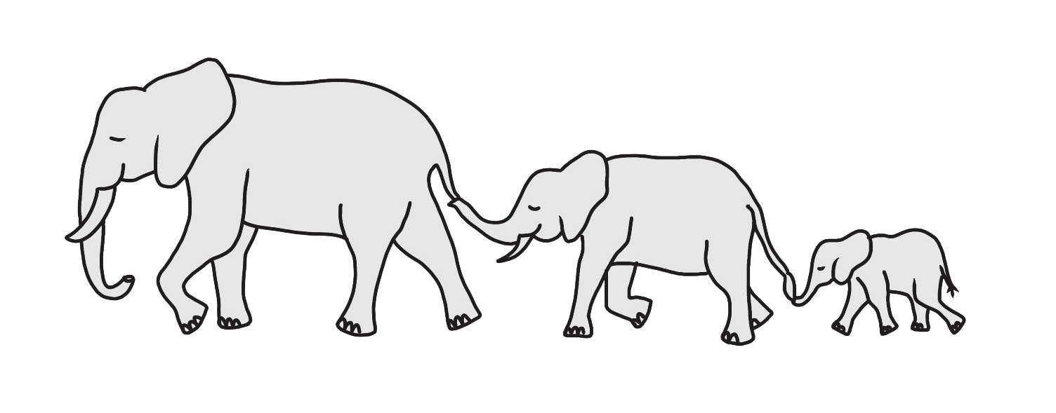 Elephants illustration